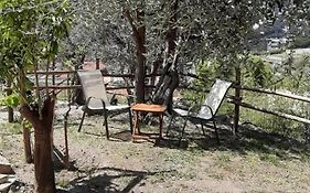 Appartamento Ulivo
